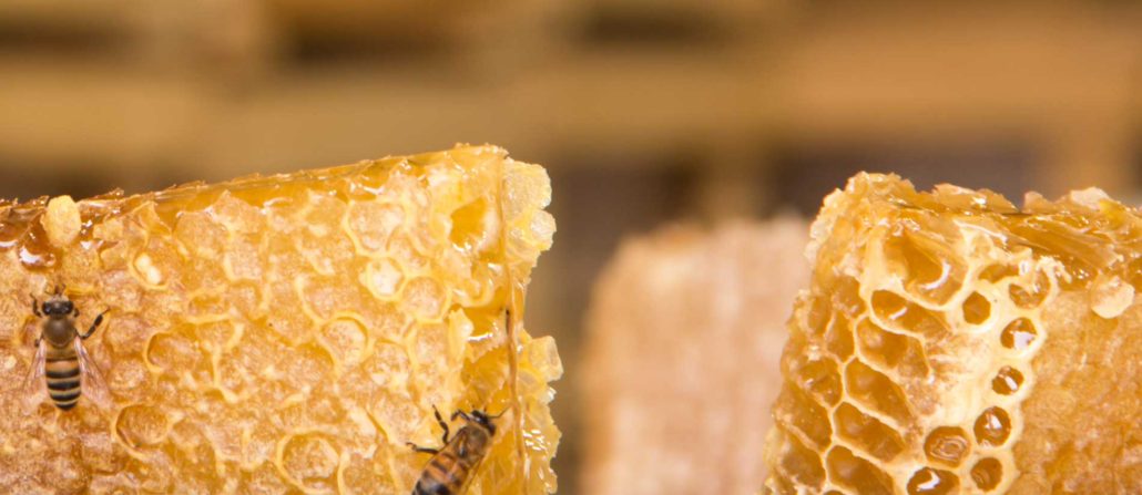 honing soorten